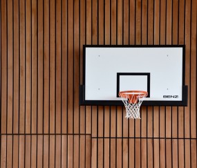 林葳参加g联盟选秀 今夏能否复刻崔永熙逆袭？